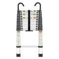Telescopic Ladder